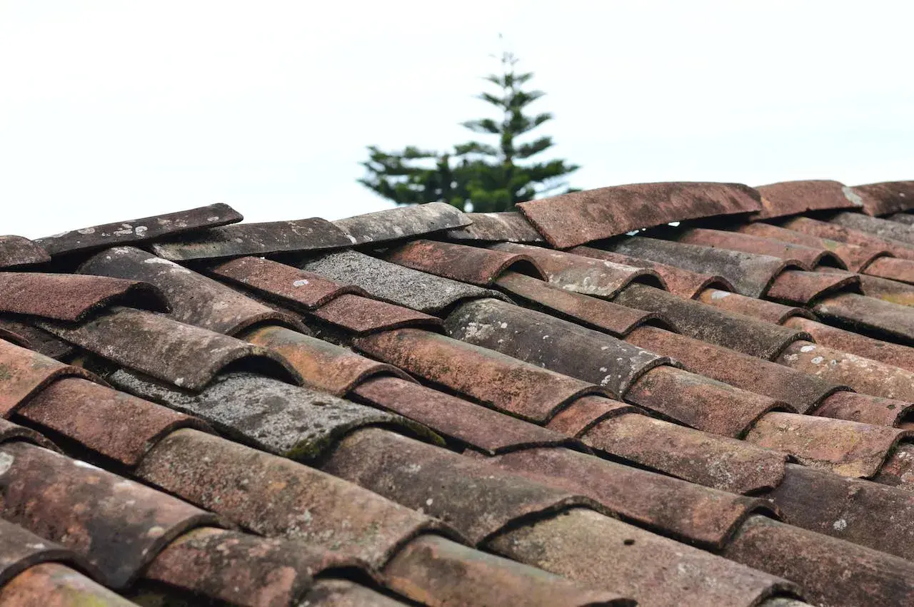 Roof Restoration In Orange County